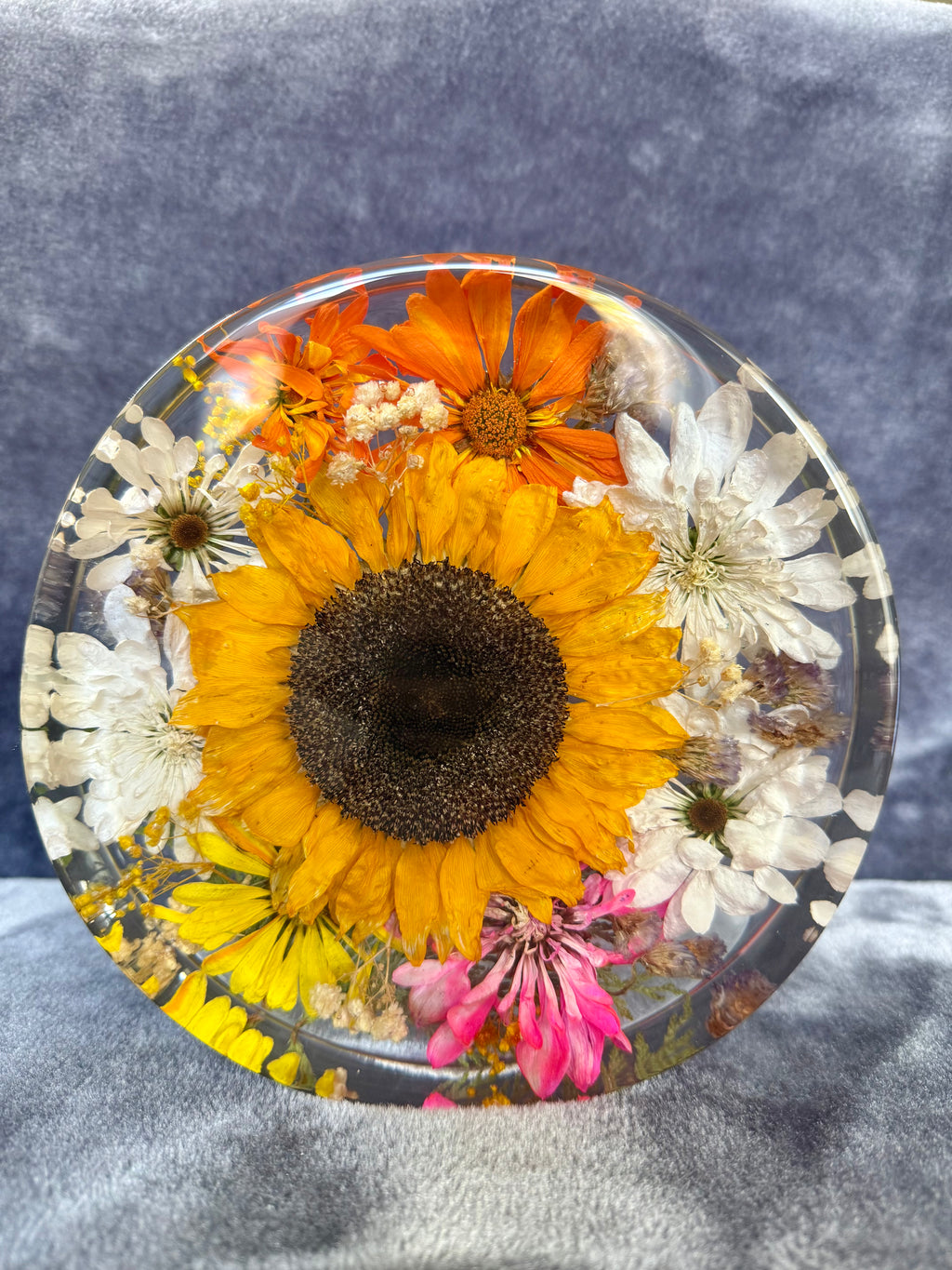 Customized Circle Blocks