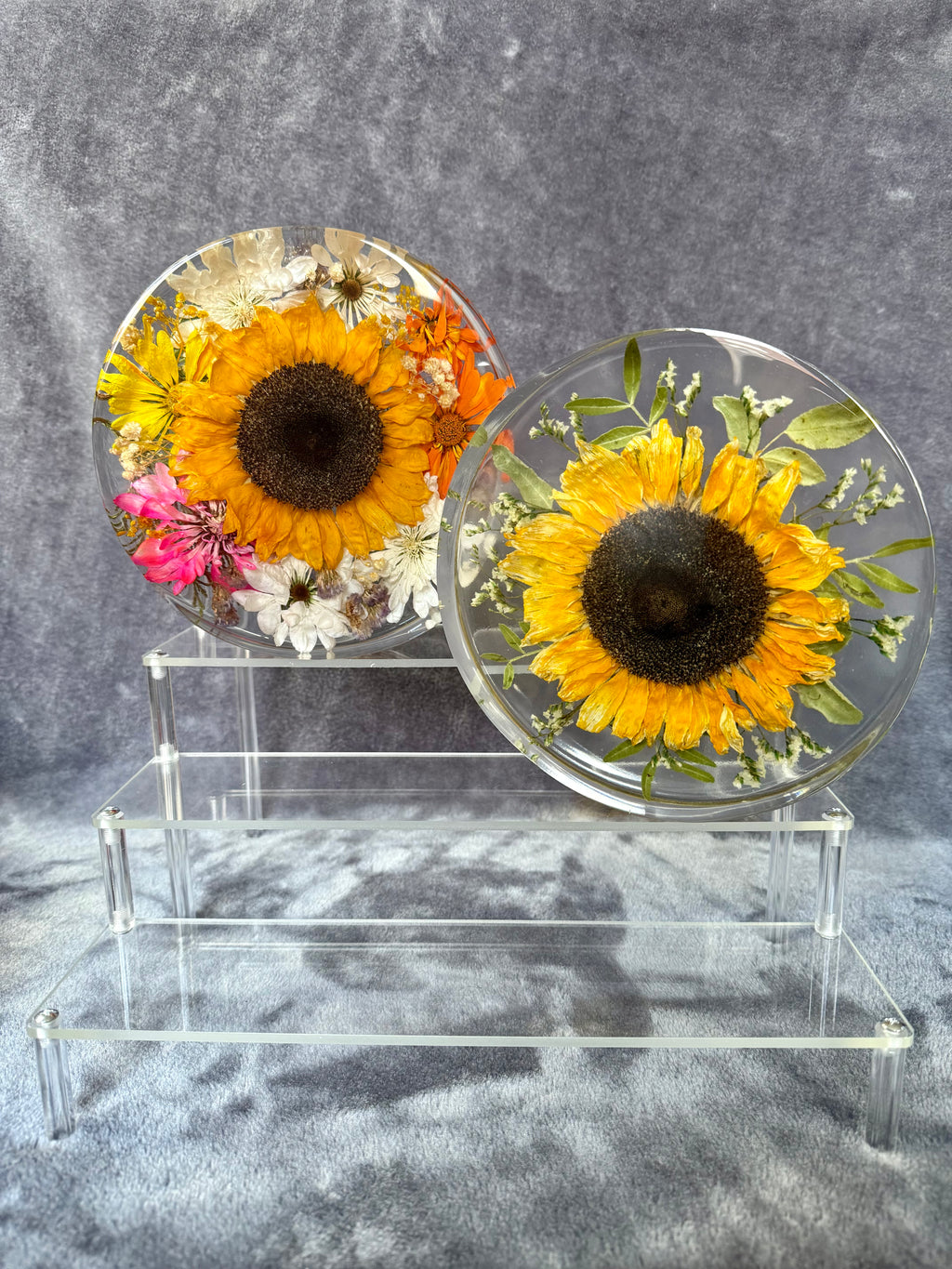 Customized Circle Blocks